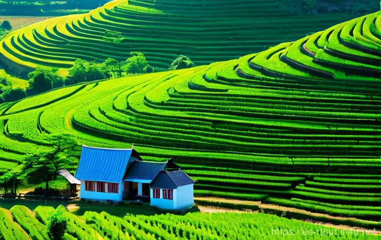 농촌관광기획사 자격증 시험과목 분석 - Here are three detailed image generation prompts in English, inspired by the provided text and adher...