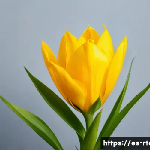 Home 7 농촌관광기획사 연봉 상승 전략 관련 이미지 1