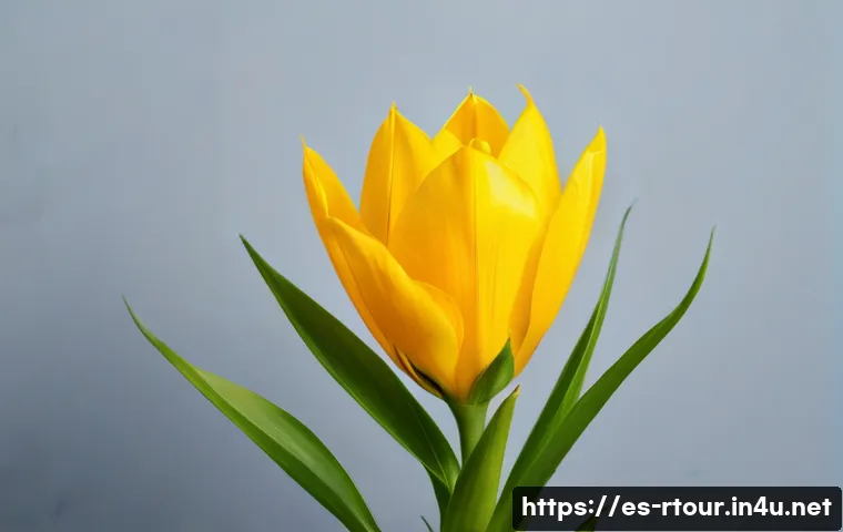 농촌관광기획사 연봉 상승 전략 관련 이미지 1